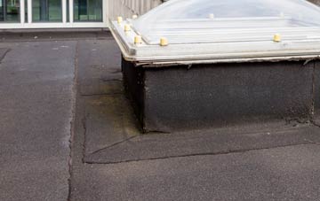 disadvantages of High Leven flat roofs