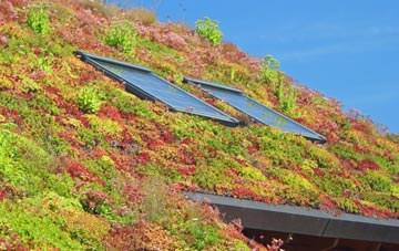 High Leven living roof systems
